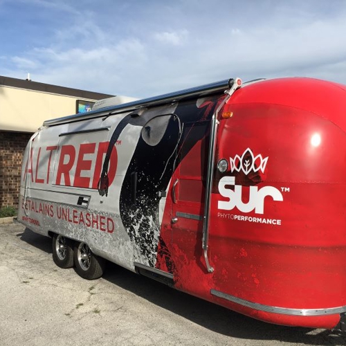 Vehicle Graphics